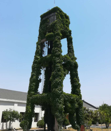 青岛管理培训,青岛企业培训,企业内训,管理咨询
