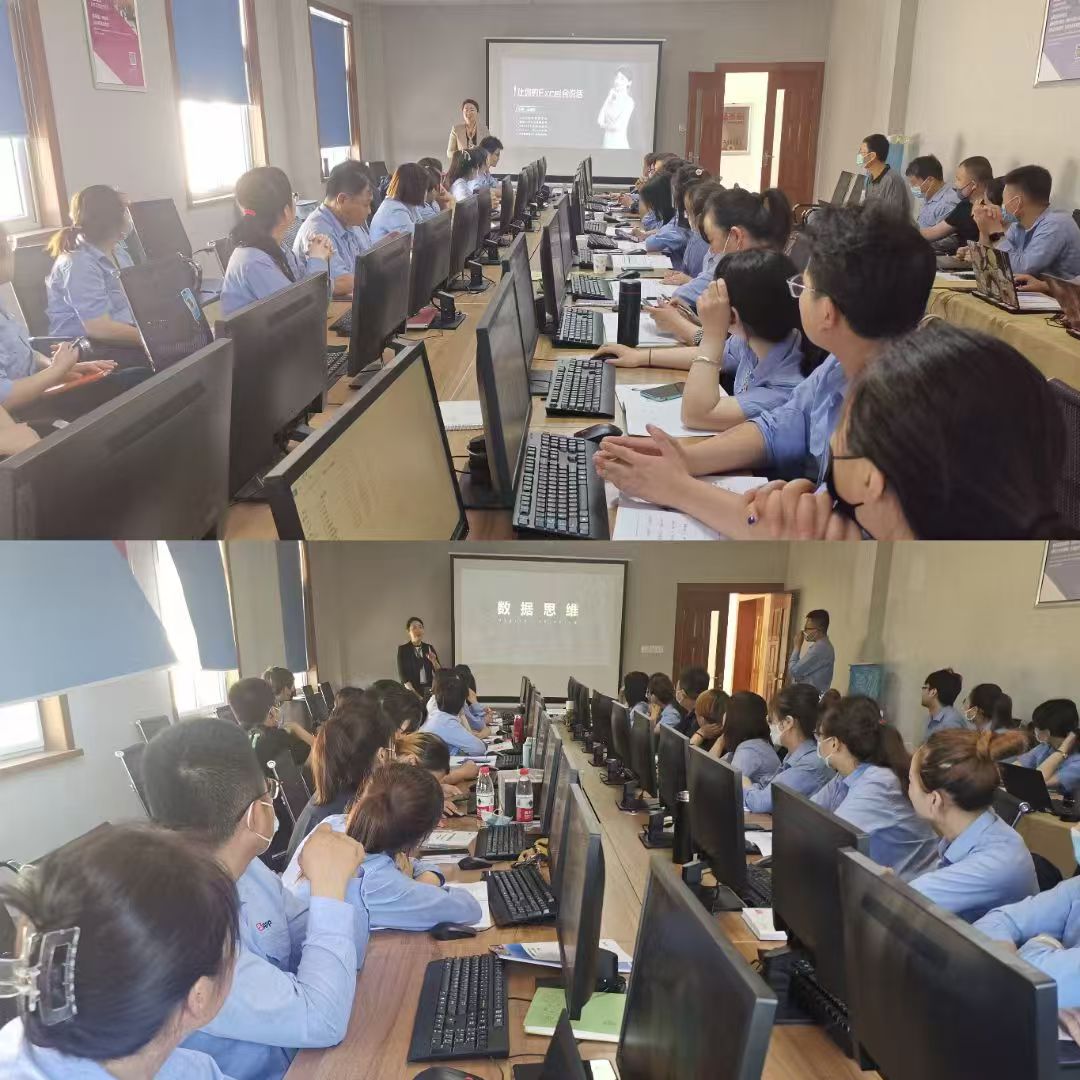 青岛内训公司,青岛人力资源咨询公司,组织设计管理咨询公司,组织设计管理咨询公司